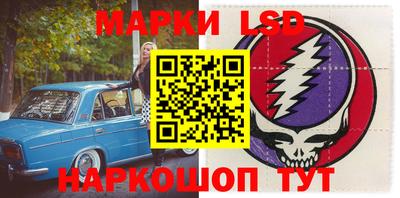 индика Анжеро-Судженск