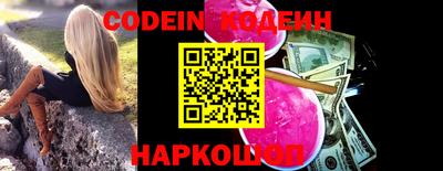 индика Анжеро-Судженск
