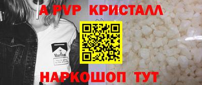 индика Анжеро-Судженск