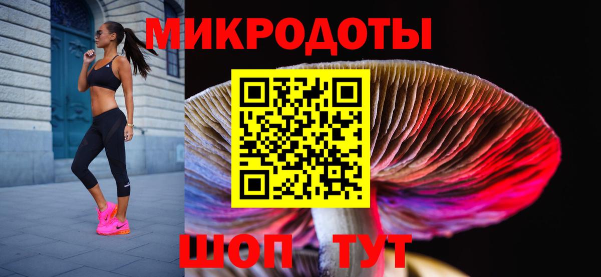 Галлюциногенные грибы Cubensis Псков