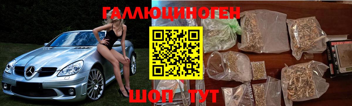 Псков  Галлюциногенные грибы Psilocybe  Вход с VPN 